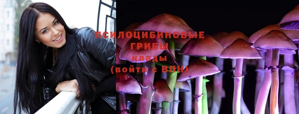 тгк Медногорск