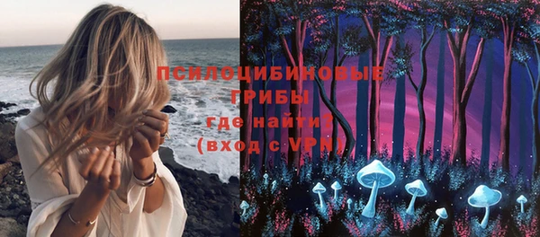 мдпв Мегион