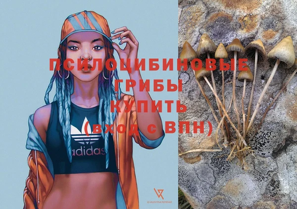 прущие грибы Беломорск