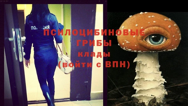 тгк Медногорск