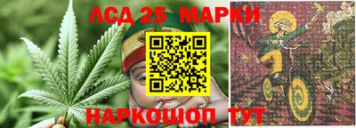 дживик Кандалакша