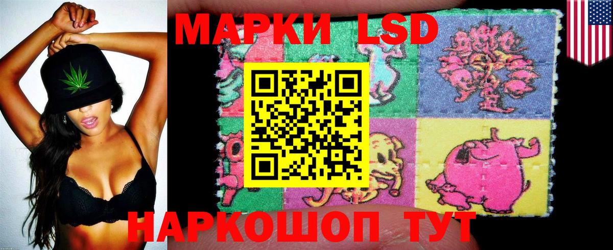 Карасук  Марки N-bome 1,8мг  Вход с VPN 