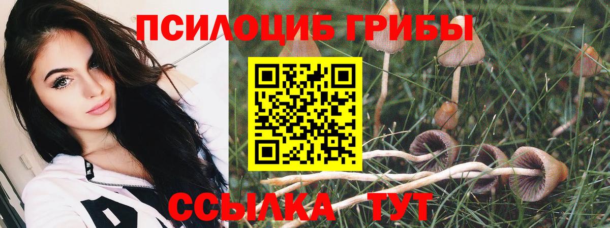 КОКАИН Карасук