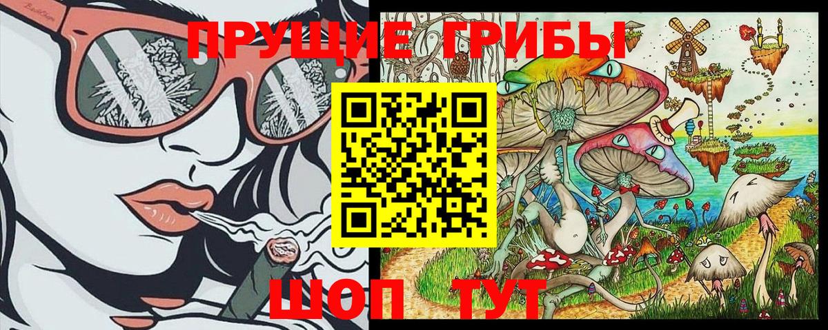 Карасук  Псилоцибиновые грибы Magic Shrooms  Галлюциногенные грибы MAGIC MUSHROOMS  Вход с VPN 
