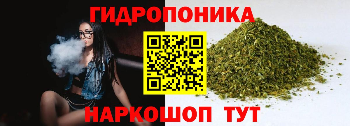 Бошки Шишки AK-47  МАРИХУАНА тримм  Карасук  Вход с VPN  Бошки марихуана план  Конопля SATIVA & INDICA 
